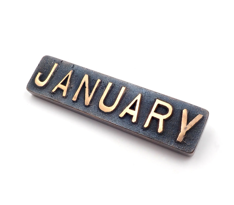 'January' Brooch