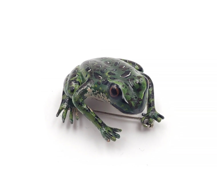 Hochsetter's Frog Brooch