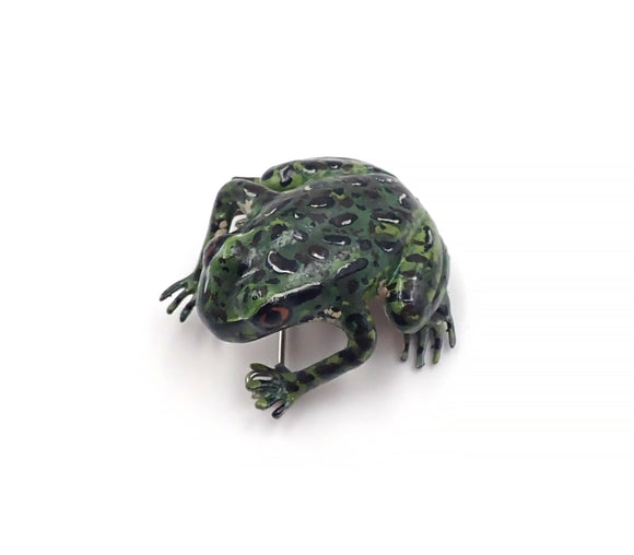 Hochsetter's Frog Brooch