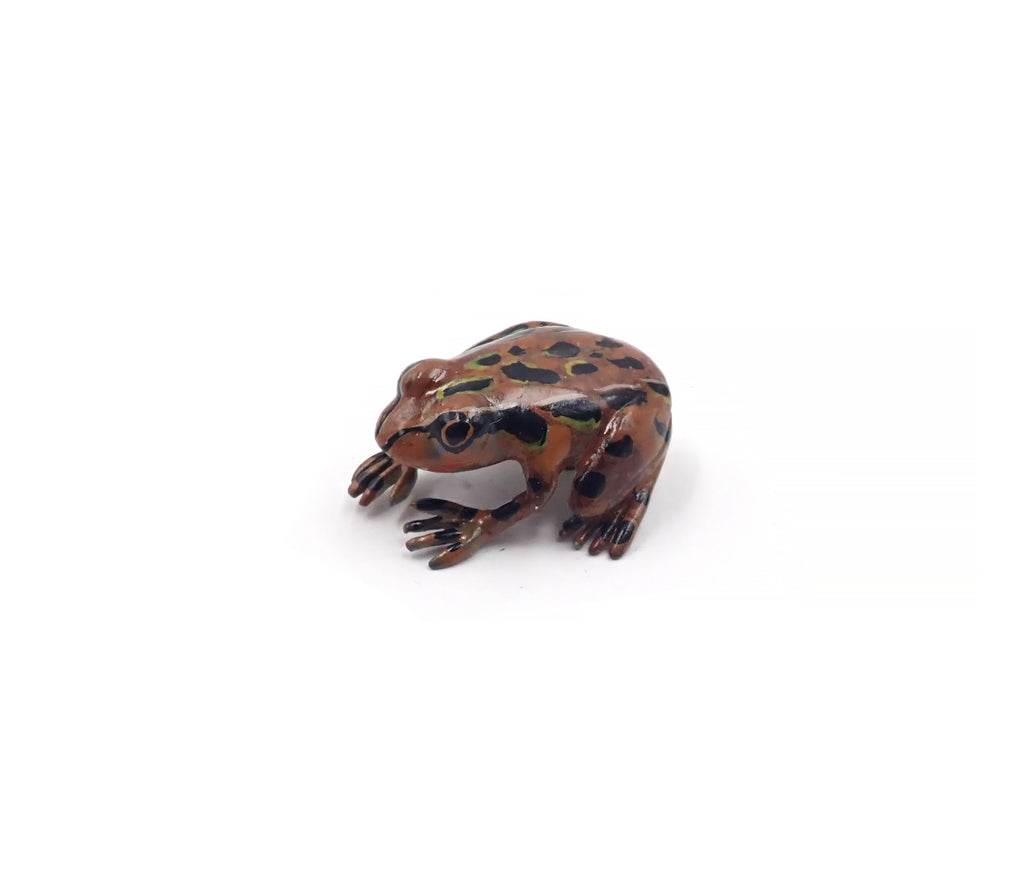 Small Archey's Frog Brooch
