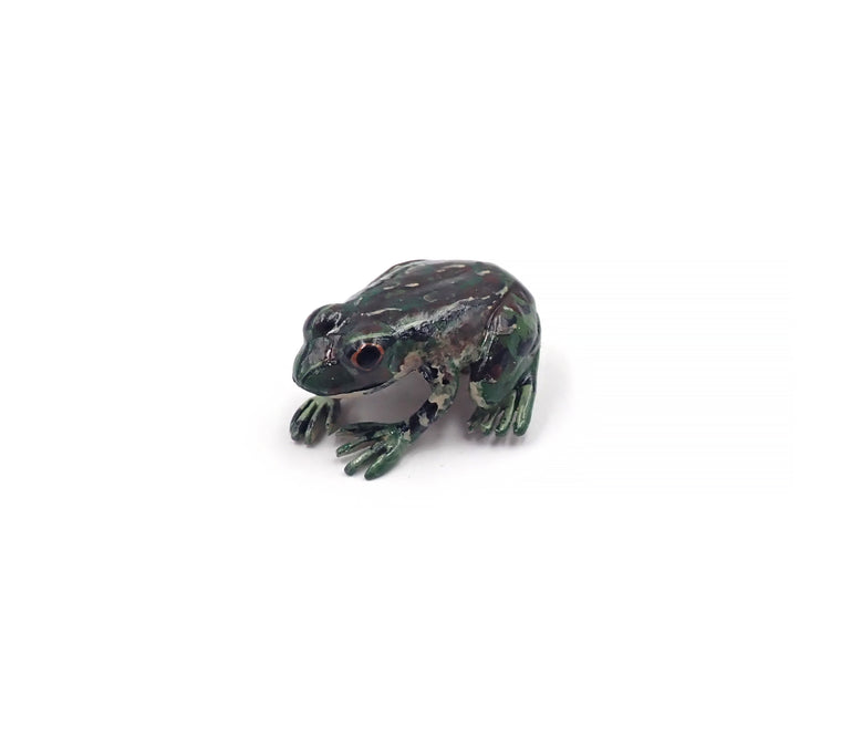 Small Hochstetter's Frog Brooch
