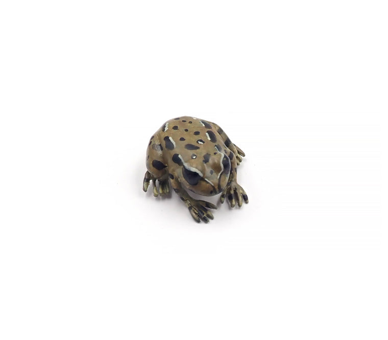 Small Hamilton's Frog Brooch
